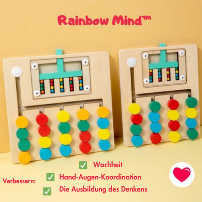 Rainbow Mind™ - Montessori Logikspiel