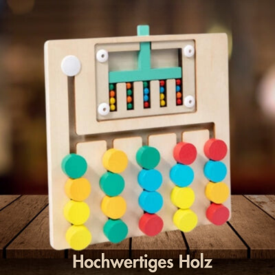 Rainbow Mind™ - Montessori Logikspiel