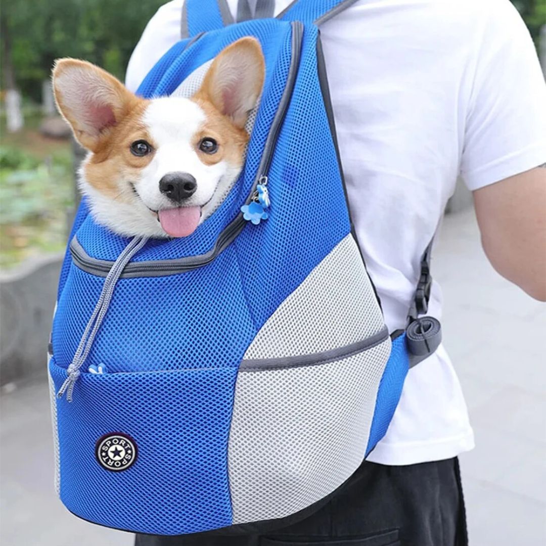 Rucksack Für Hunde | Canicomfy™