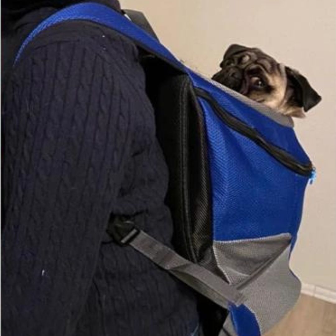 Rucksack Für Hunde | Canicomfy™