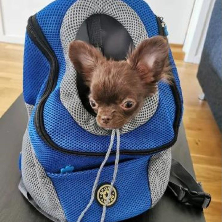Rucksack Für Hunde | Canicomfy™