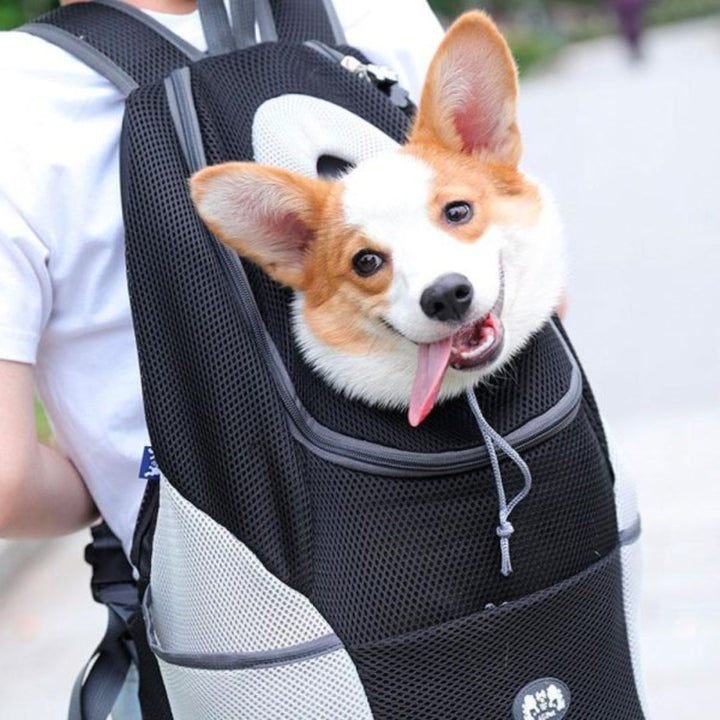 Rucksack Für Hunde | Canicomfy™
