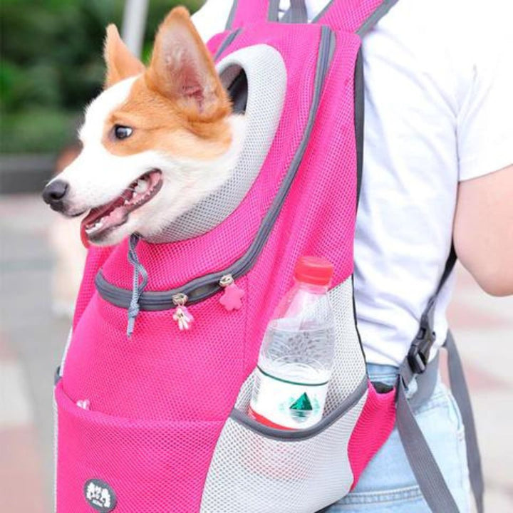Rucksack Für Hunde | Canicomfy™