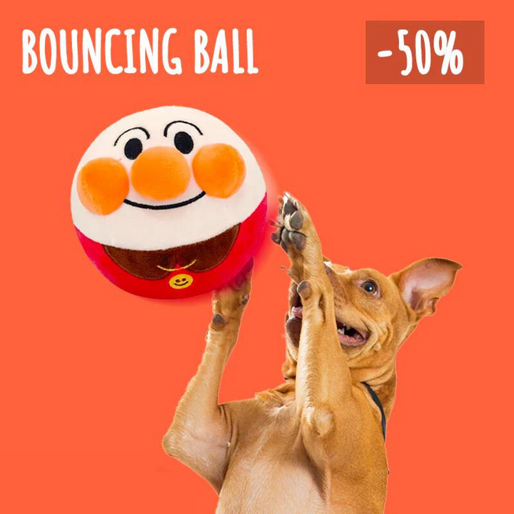 BouncingBall™ - das interaktive Hundespielzeug