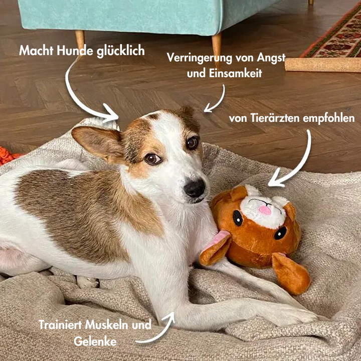 BouncingBall™ - das interaktive Hundespielzeug