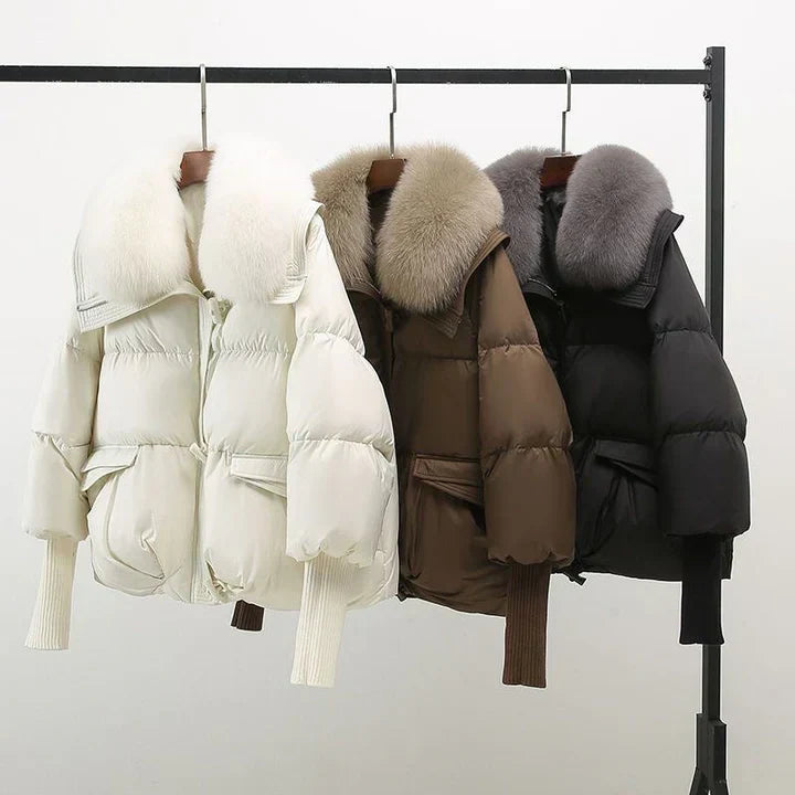 Cersei – Langarm Jacke Mit Reißverschluss