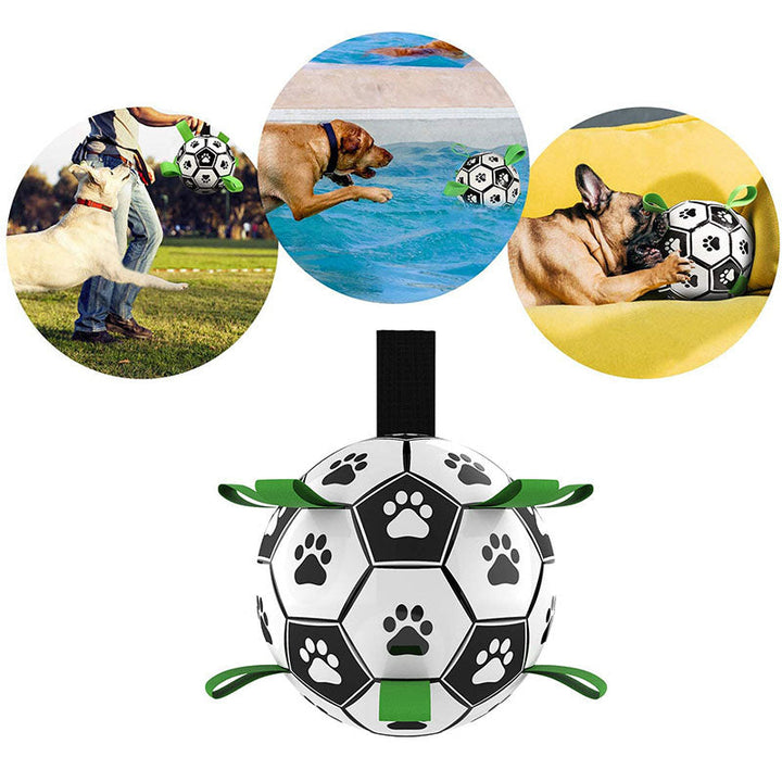 Fußball für Hunde